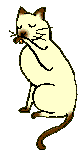 cat-cleaning-A.gif